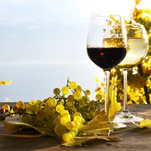 Gestione estero vini Agristudio Stradella