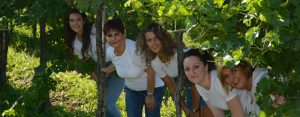 agristudio stradella contatti