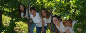 contatti agristudio stradella
