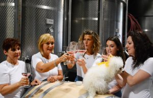 gestione cantina - agristudio stradella